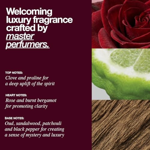 The Lab Co. Laundry Detergent Strips Washing Sheets | Eco Ultra-Concentrated | Non-Bio for Sensitive Skin | Non-Toxic Fragrance | EDC-Free | Lab-Tested | Welcoming Oud Rose Bergamot | 32 Loads — view 4