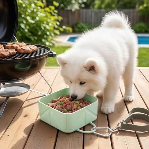 Pffiocix Pet Feeding Travel Bowl for Dogs with Clip-on Carry, Gray — view 5