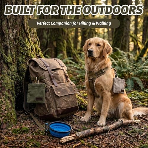 2 Pack Dog Treat Pouch, Magnetic Automatic Closure Hands-Free Training Bag with Carabiner, Waterproof Design Built-in Waste Bag Holder, Perfect for Dog Walking, Travel and Outdoor Pet Training — view 5