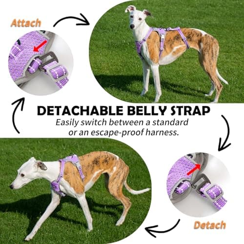 Huntboo Escape Proof Dog Harness Medium, No Pull dog harness — view 4