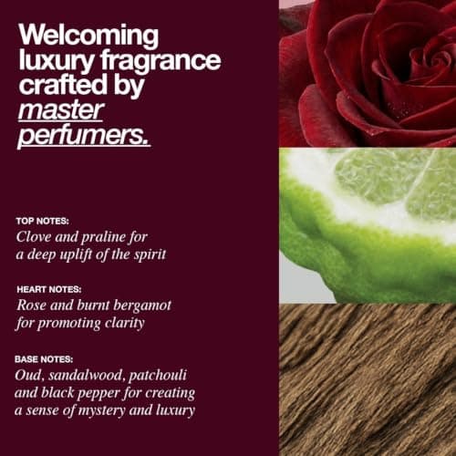 The Lab Co. Laundry Detergent Strips Washing Sheets | Eco Ultra-Concentrated | Non-Bio for Sensitive Skin | Non-Toxic Fragrance | EDC-Free | Lab-Tested | Welcoming Oud Rose Bergamot | 64 Loads — view 5