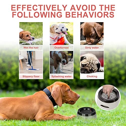Pet Floating Dog Water Bowl,Non Spill Portable Travel Dog Bowl,750ML — view 2