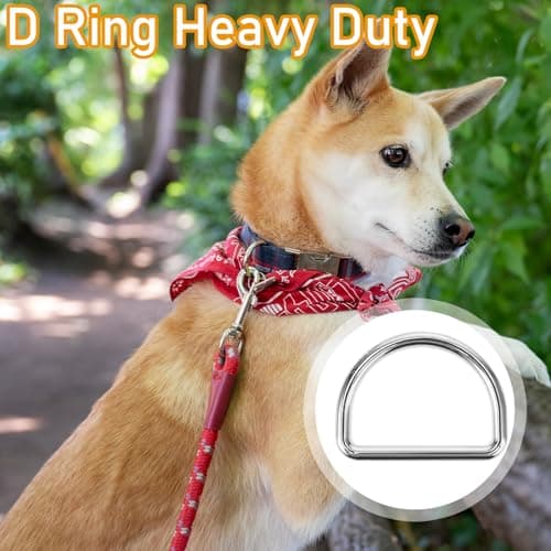 Aiyorse 9 Pack 1 Inch D Ring, 3mm Thickness Stainless Steel Heavy Duty D Ring for Bag Metal D Rings for Dog Collars, Backpacks, Webbing Straps Belts Bags Dog Leash Hand DIY Accessories(Sliver) — view 5