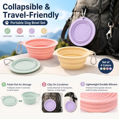 4 PCS Collapsible Dog Bowl, Portable Dog Water Bowl with Carabiner — view 3