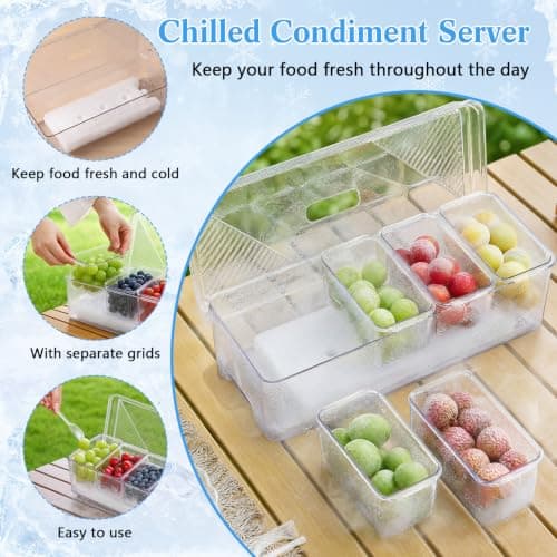 Patelai Chilled Condiment Box Container with Ice Pack and Insulated Bag, 5 Compartment Condiment Tray with Lids, Portable Chilled Snack Serving Set for Picnic, Camping, Road Trip — view 3