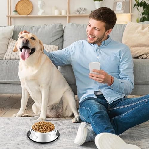 8 Pack Stainless Steel Cat Bowls, Non-Slip Dog Water Dish with Rubber Base Stackable Pet Feeding Bowl Durable Multifunctional Plate for Kitten Puppy Small Dog — view 4
