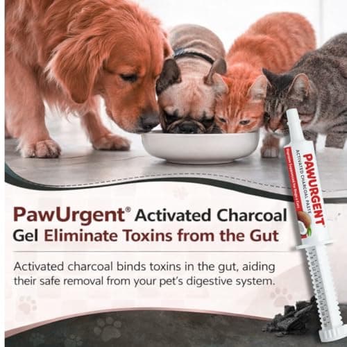PawUrgent Activated Charcoal Gel for Dogs Poisoning, 30cc Dog First Aid Activated Charcoal, Animal Use Only, Premium Pet Support For Pet Owners — view 6
