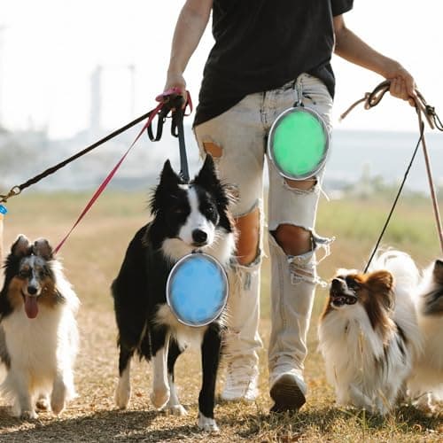 2 Pack Large Collapsible Dog Bowl, 1000ml/35oz Foldable Dog Travel Bowls, Portable Dogs Water Food Bowl with Carabiner, Pet Cat Feeding Cup Dish for Traveling, Walking, Hiking — view 5