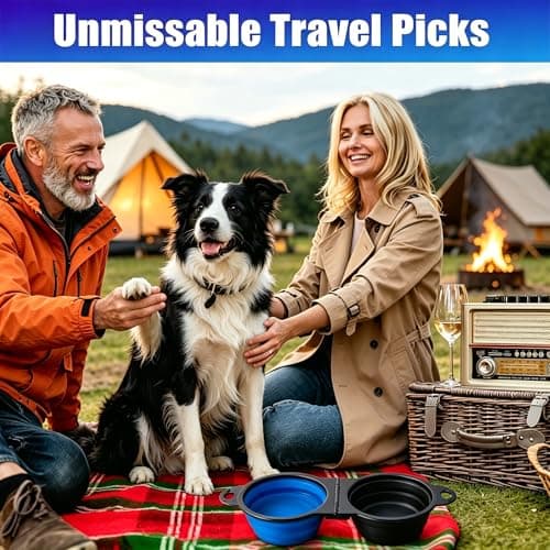 Anti-Tipping Connected Dual Foldable Pet Bowls, 350ml each for small dogs & cats, reinforced rim, collapsible portable food & water feeder, great for walking, hiking, outdoor activities (Black & Blue) — view 5