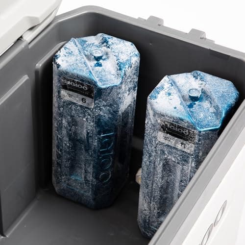 IGLOO Performance Ice Blocks, Reusable Ice Packs for Coolers, Long Lasting Cold Freezer Packs, Cold Packs for Coolers, Camping, Fishing, Road Trips — view 6