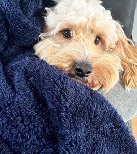 Soft Fluffy Fleece Blanket for Cats & Dogs | Warm Pet Throw | Machine Washable | Bed Blanket and Travel | Protects Furniture | Navy, Small 60 x 80cm — view 6