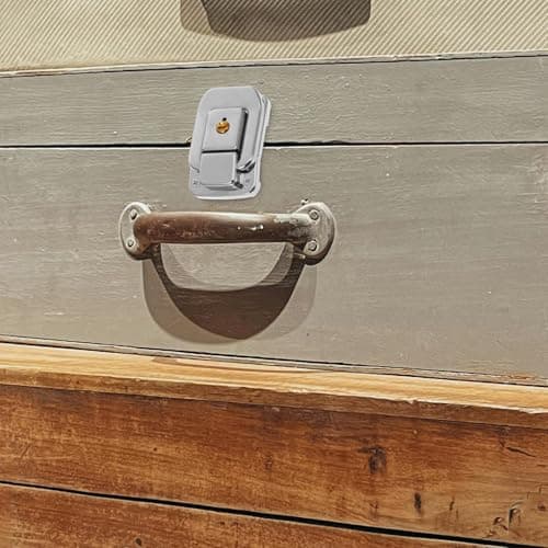 Small Toggle Latch Suitcase Lock Hasp with Keyed Metal Buckle — view 4