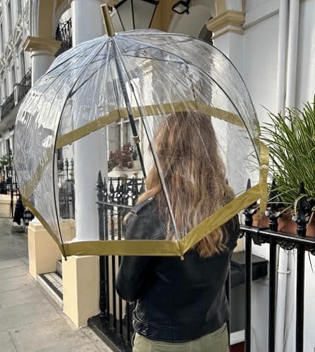 Fulton Birdcage Umbrella Gold Trim — view 5