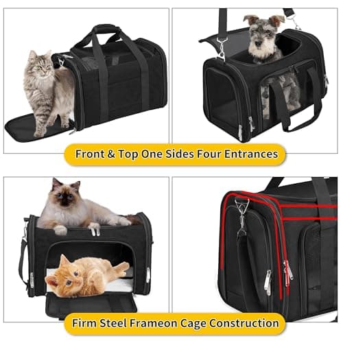 Soft Sided Cat/Pet/Dog Carrier Bag,Portable Foldable Pets Travel Carriers For Cats/Dogs With Shoulder Strap & Removable Mat,Durable Puppy Basket of 16 lbs Airline Approved - Black — view 4