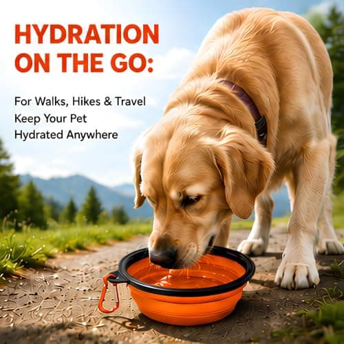 2Pcs Collapsible Silicone Travel Dog Bowl - Portable Pet Water & Food Dish with Carabiner Clip, Pet Water & Food Travel Dog Bowl, Collapsible Dog Bowl,Collapsible Dog Water Bowls for Cats Dog (Orange) — view 6