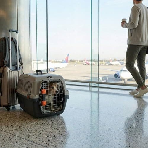 URBNLIVING Dog & Cat Pet Carrier Travel Crate – Approved Transporter Cage Kennel Box for Car Travel - (Large) — view 2