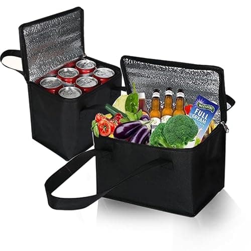 2 pack small Food Cooler Bag, 5L/7L thermal insulation picnic bag, Portable Delivery Bag with Zipper, Great Cooler Bag for Picnic, Travel, Food Delivery (Black)