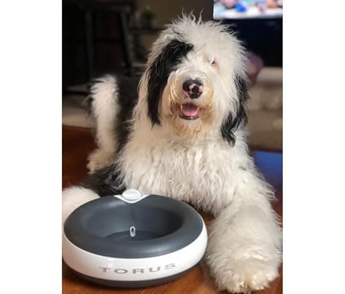 Torus Pet Portable Cordless Water Dispenser | 2-Liter | Fresh Filtered Water | Healthy & Hygienic Pet Water Dispeners | for Larger Dogs and Multi-Pet Homes - Charcoal — view 2