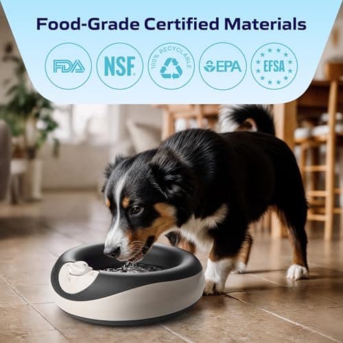 Torus Pet Portable Cordless Water Dispenser | 2-Liter | Fresh Filtered Water | Healthy & Hygienic Pet Water Dispeners | for Larger Dogs and Multi-Pet Homes - Charcoal — view 5