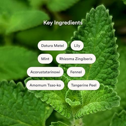 Kind Patches Anti-Motion Sickness Patches with Natural Active Ingredients — view 3