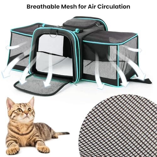 Soft Sided Portable Cat Carrier with Extendable Space & Fleece Bed Foldable Pet Carrier for Cats/Small Dog/Bunnies With Adjustable Shoulder Strap & Removable Mat (Blue) — view 3