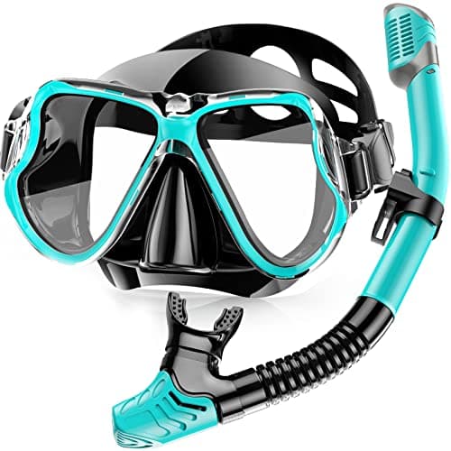Karvipark Dry Snorkel Set, Anti-Fog Panoramic Snorkel Mask for Adults