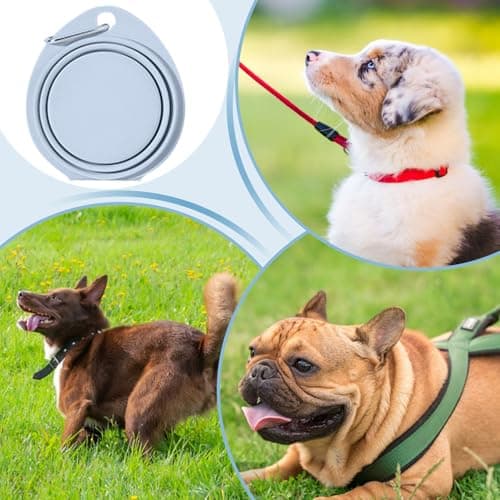 Dog Water Bowl, Portable Food Bowl, Puppies Kittens, Pet Supplies, Foldable Feeder Dish, Lightweight Compact Travel Pets Bowls for Small Dogs and Cats, 11.81 x 5.28 x 1.97 Inches — view 6
