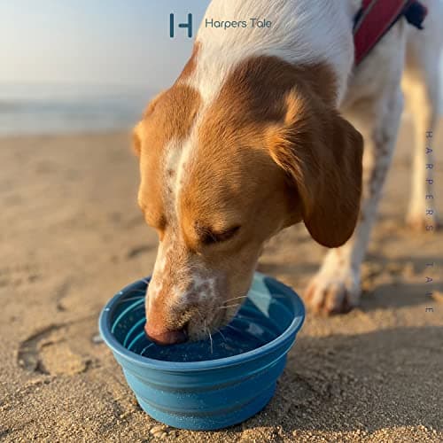 H HARPERS TALE Two Pack, Medium & Large Bowls 400ml 1000ml, Collapsible Travel Dog Food Water Bowls, Safe Silicone, Integrated Mold, No Plastic Rim, Carabiner Clip, BPA-Free, Steel Blue & Moss Green — view 6
