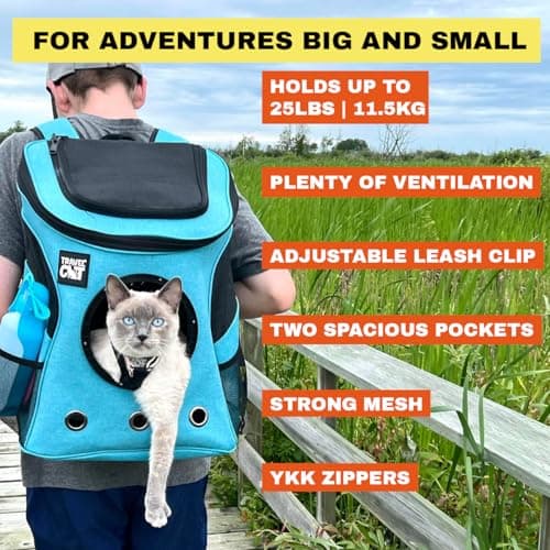 Fat Cat Backpack Carrier - Airline Approved Cat Carrier with Space Capsule Bubble for for Small Cats, Kitten - Premium Aqua Cat Carrier Backpack for Outdoor, Travel, Hiking, Pet Supplies — view 4