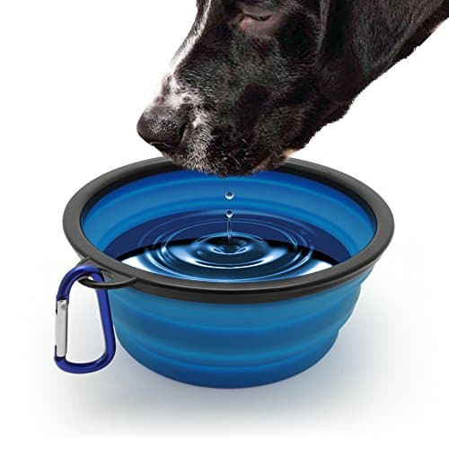 iGadgitz Home Large Foldable Travel Silicone Dog Bowl Food Water Feeding Portable Dish for Pet (Blue) — view 4