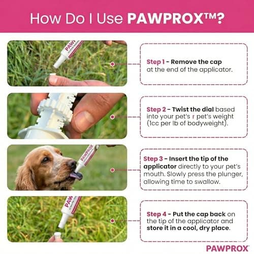 PawProx Activated Charcoal Gel for Dogs for Poisoning, 30 cc Dog First Aid Activated Charcoal, Animal Use Only Dogs and Cats Poisoning First Aid — view 3