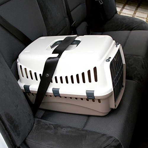 Kerbl Transport Box Expedion with Plastic Door, 45 x 30 x 30 cm, Cream/ Taupe — view 2