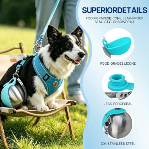Foldable 2 in 1 Portable Dog Water Bottle, 285ml/10oz Stainless Steel Dog Travel Water Bottle, Leak-Resistant Travel Pet Water Dispenser with Foldable Silicone Bowl for Walking, Camping(blue) — view 3
