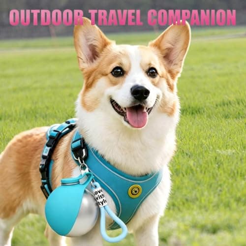 2-in-1 Portable Dog Water Bottle, 285ml Stainless Steel Pet Travel Bottle — view 2