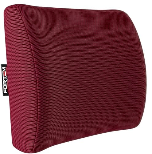 FORTEM Lumbar Support Cushion For Office Chair Back Support Pillow For Car