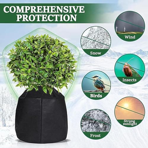 Mlllokfki Gardening Tools, Sustainable Home Practices, Healthy Meal Ideas, Travel Packing List, Budget Friendly Recipes, Quick Fitness Tips, Creative Writing Ideas for Potted Plants Shrubs — view 5
