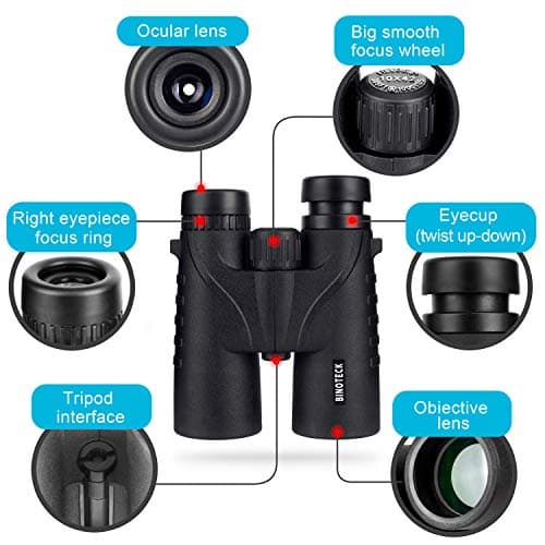 Binoteck 10x42 Binoculars for Adults - Professional HD Roof BAK4 Prism Lens Binoculars for Bird Watching, Hunting, Travel, Sports, Opera, Concert, with Carrying Bag (1.0 lbs) — view 6