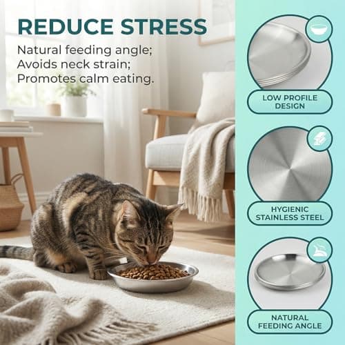 4 Pcs Cat Bowls Stainless Steel, 14cm Wide Shallow Kitten Bowls Set, Whisker Friendly Cat Food Bowl for Dry Wet Food, Small Pet Feeding Dishes — view 4