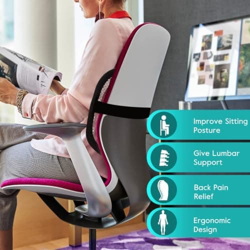 m zimoon Mesh Lumbar Back Support Cushion,Chair Support with Elastic Strap — view 2