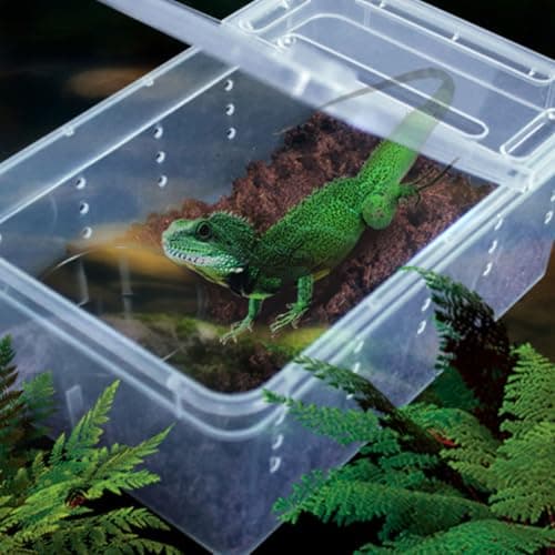 Reptile Feeding Box Set, 2 Pcs PP Plastic Stackable Ventilated Case — view 2