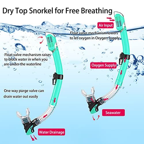 Adults Mask Snorkel Fins Set, Snorkeling Gear for Adult with Fins, Snorkel Sets with Flippers, Adult Anti Leak Scuba Gear with Adjustable Fins Diving Mask Full Dry Top Snorkel with Travel Bags — view 3