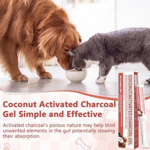 Trihood Activated Charcoal Paste for Dogs, Cats, Puppies, Pet Poisoning Kit, Toxin Absorption for Pet Emergencies, Digestive System Rescue Aid, 30ml — view 2