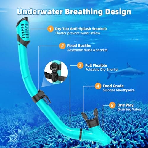Adults Mask Snorkel Fins Set, Snorkeling Gear for Adult with Fins, Snorkel Sets with Flippers, Adult Anti Leak Scuba Gear with Adjustable Fins Diving Mask Full Dry Top Snorkel with Travel Bags — view 5