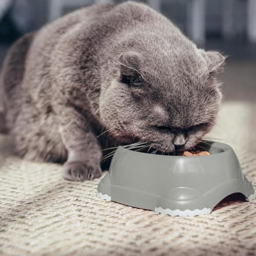 CAT CENTRE Dark Blue Pet Bowls Set, 2x0.3L, Non Slip — view 5