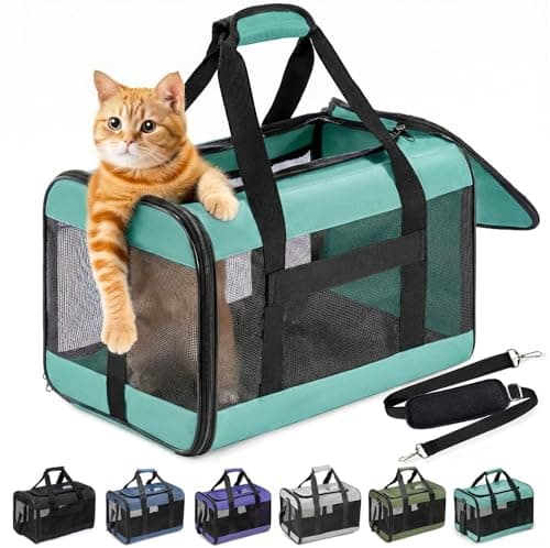 Conlun Cat Carrier Airline Approved, Soft-Sided Dog Carrier with Inner Safety Leash, Pet Transport Carrier for Small-Medium Cats Puppies up to 7KG, Collapsible Travel Kitten Carrier Bag,Turquoise(M)