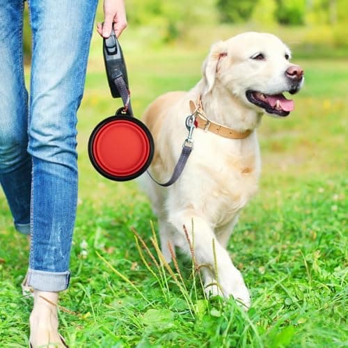 OOYES 2 Pack Dog Collapsible Bowl,Pet Silicone Food Bowl Small,Collapsible Dog Bowls,Travel Dog Bowl,34oz Portable Water Bowl for Dogs,Foldable Dog Bowl,Cat Travel Food Bowls Easy to Carry (Red) — view 4
