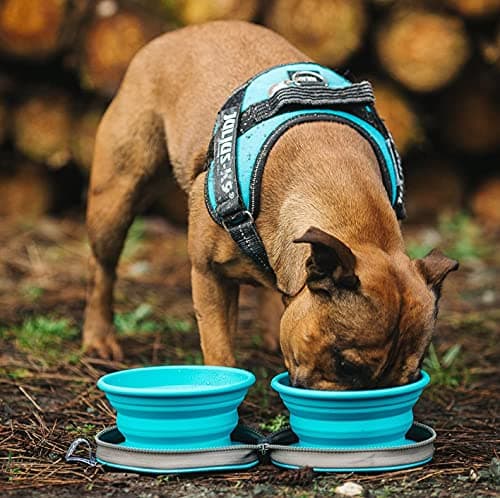 Colapz Collapsible Dog Bowls with Travel Case 2 Pack — view 5
