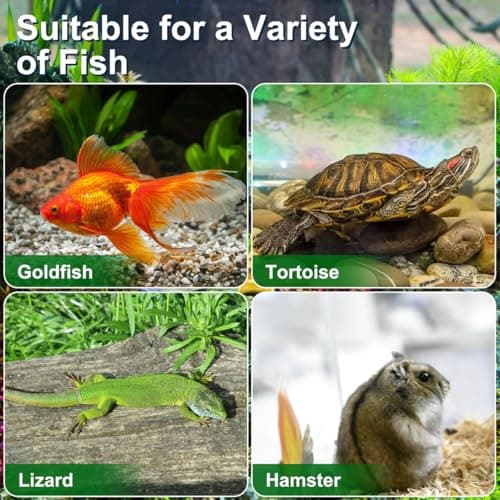 BESPORTBLE Mini Plastic Fish Tank 4-Pack, Portable Aquarium with Lid and Handle, Small Reptile Carrier for Turtle and Goldfish, Transport Container for Easy Feeding, 15x9.5x11cm — view 2