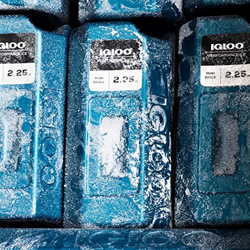 IGLOO Performance Ice Blocks, Reusable Ice Packs for Coolers, Long Lasting Cold Freezer Packs, Cold Packs for Coolers, Camping, Fishing, Road Trips — view 2