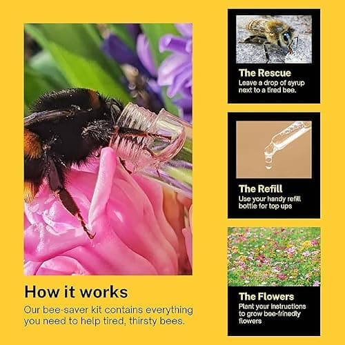 Revive a Bee Gift Box 2 x Bee Revival Kit Keyrings 1x Refill Bottle & Plantable Seed Paper (2 Rose Gold) — view 3
